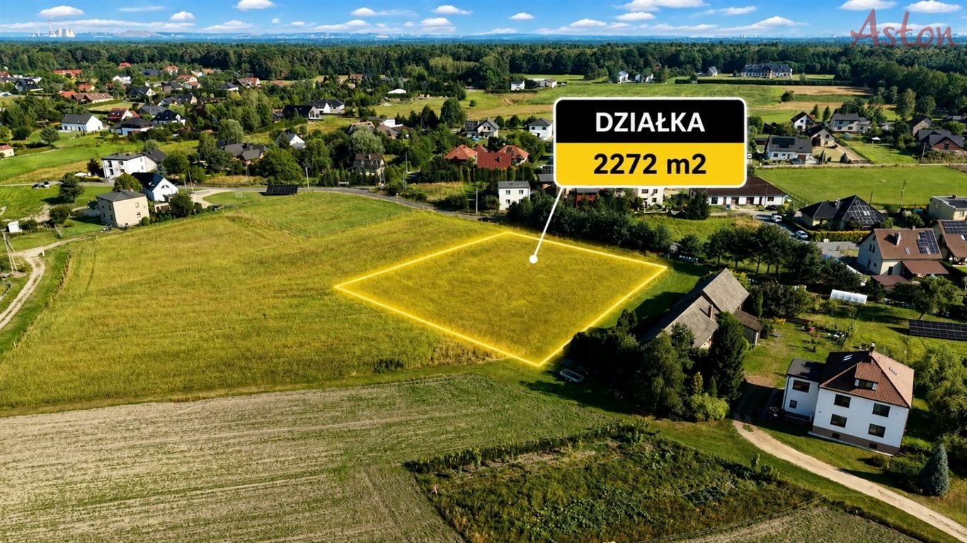 Zdjęcie 6