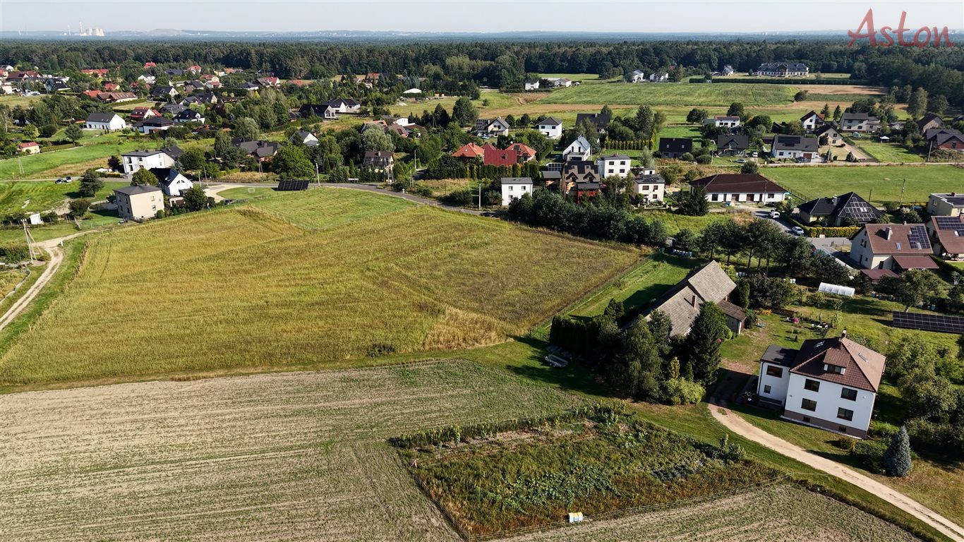 Zdjęcie 9