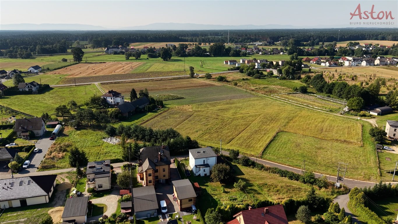 Zdjęcie 10