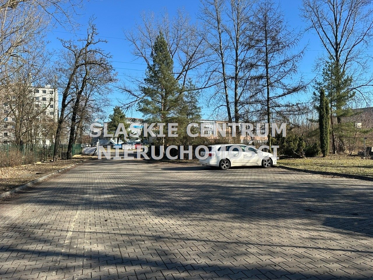 Zdjęcie 9