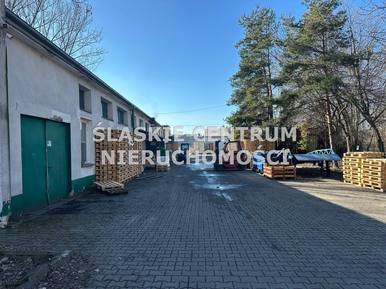 Zdjęcie 12