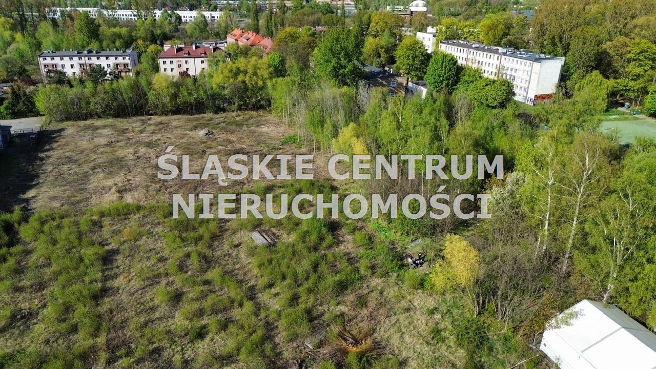 Zdjęcie 15