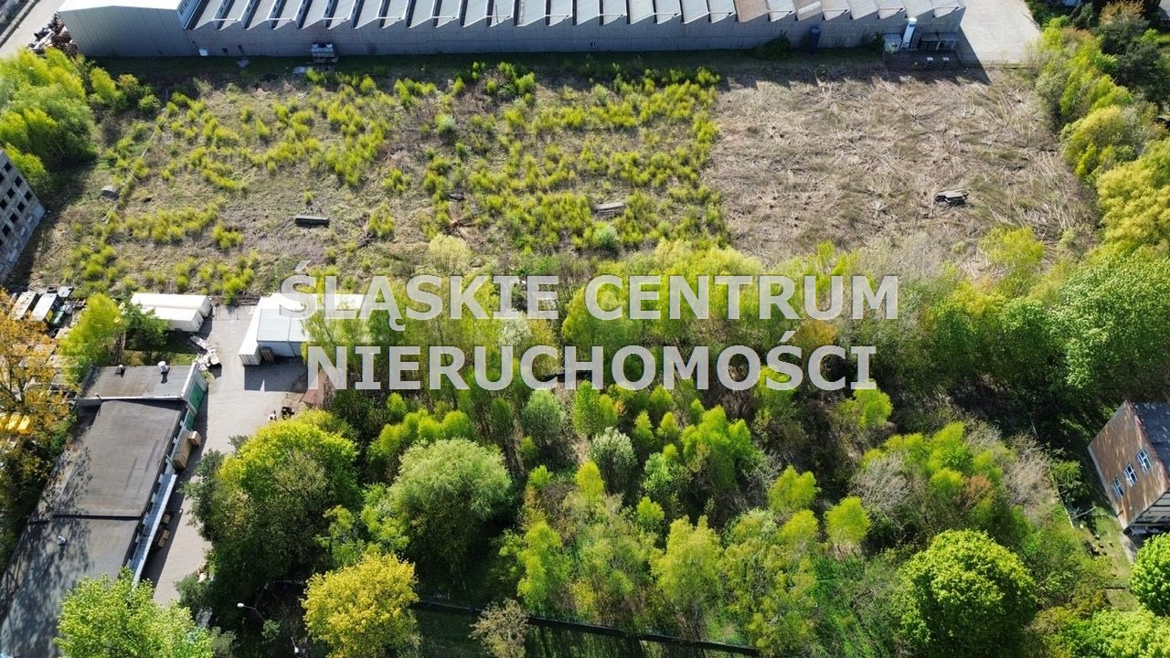 Zdjęcie 19