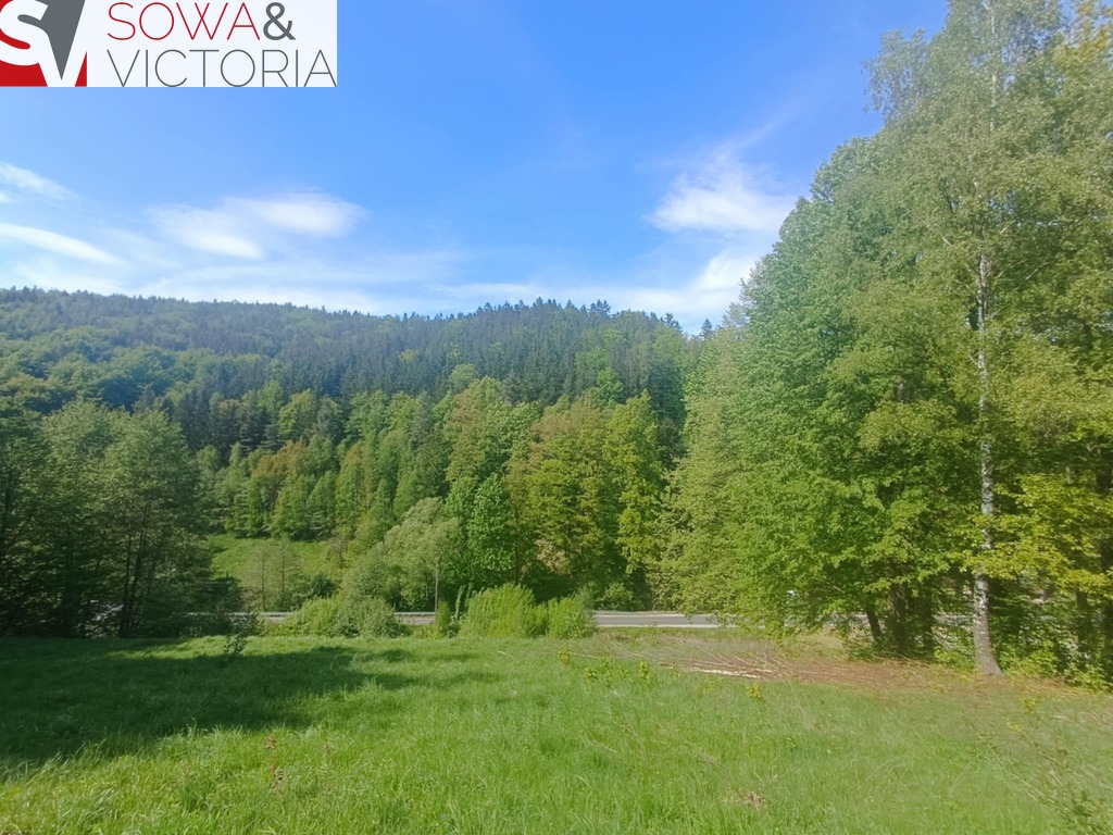 Działka budowlana 8 830 m², Michałkowa