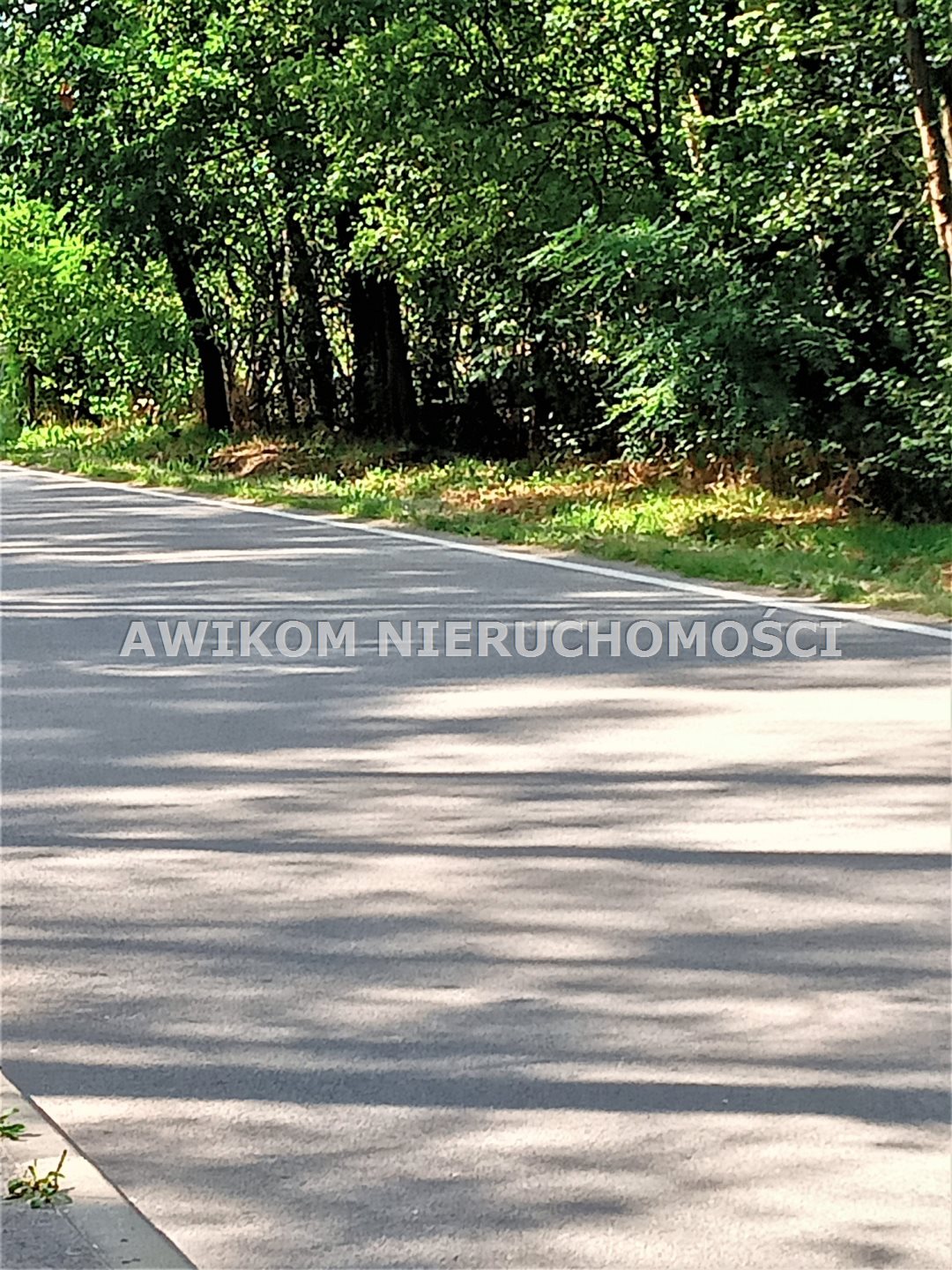 Zdjęcie 4