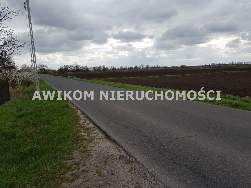 Zdjęcie 2