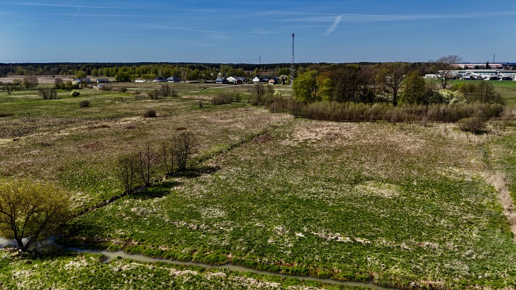 Zdjęcie 10