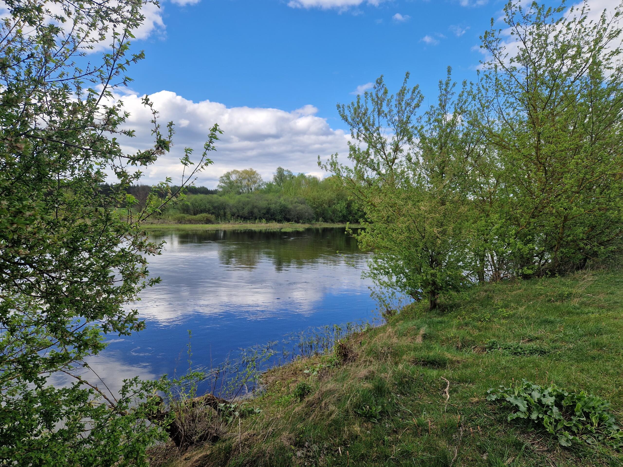 Działki z widokiem na Narew Nowogrodzie