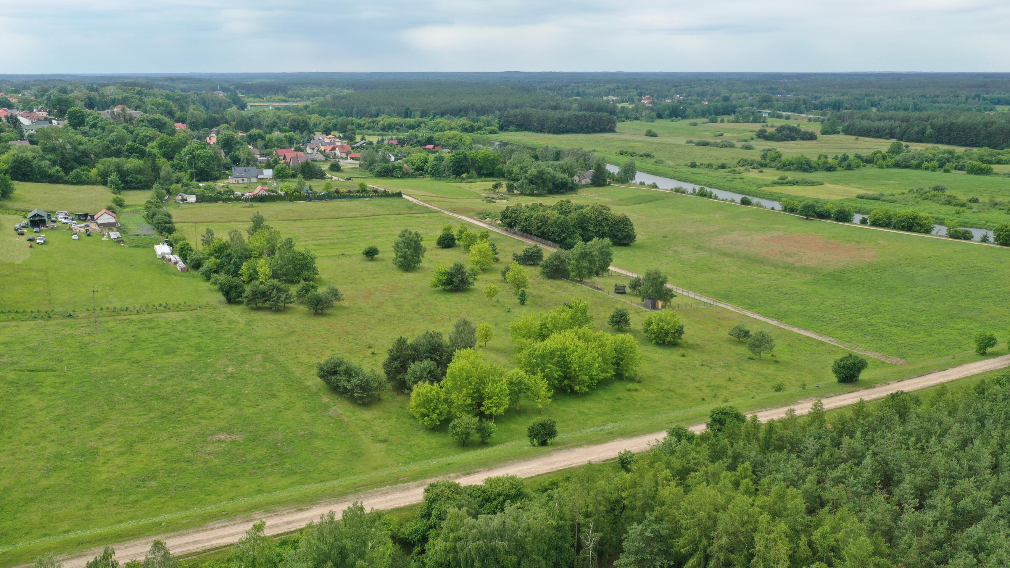Zdjęcie 6