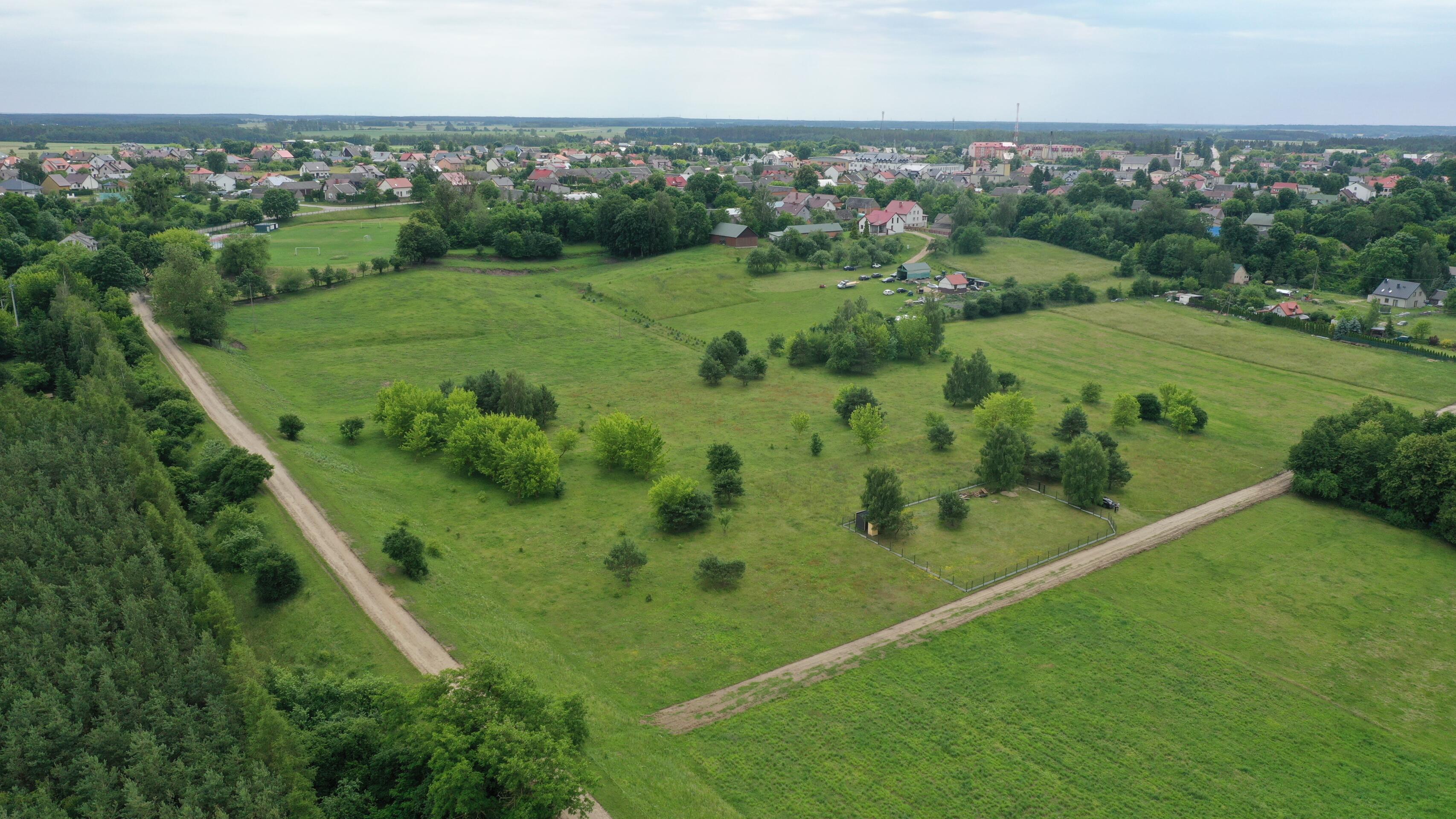 Zdjęcie 8