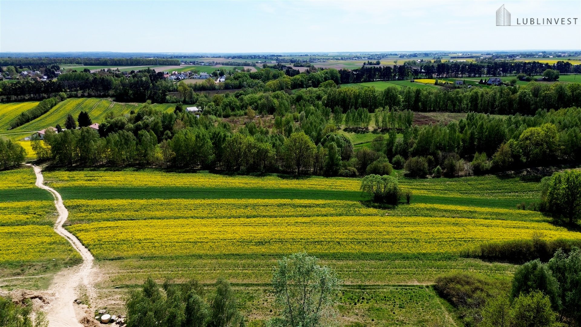 Zdjęcie 11
