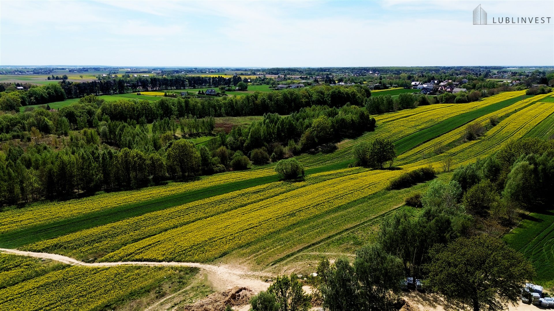 Zdjęcie 12