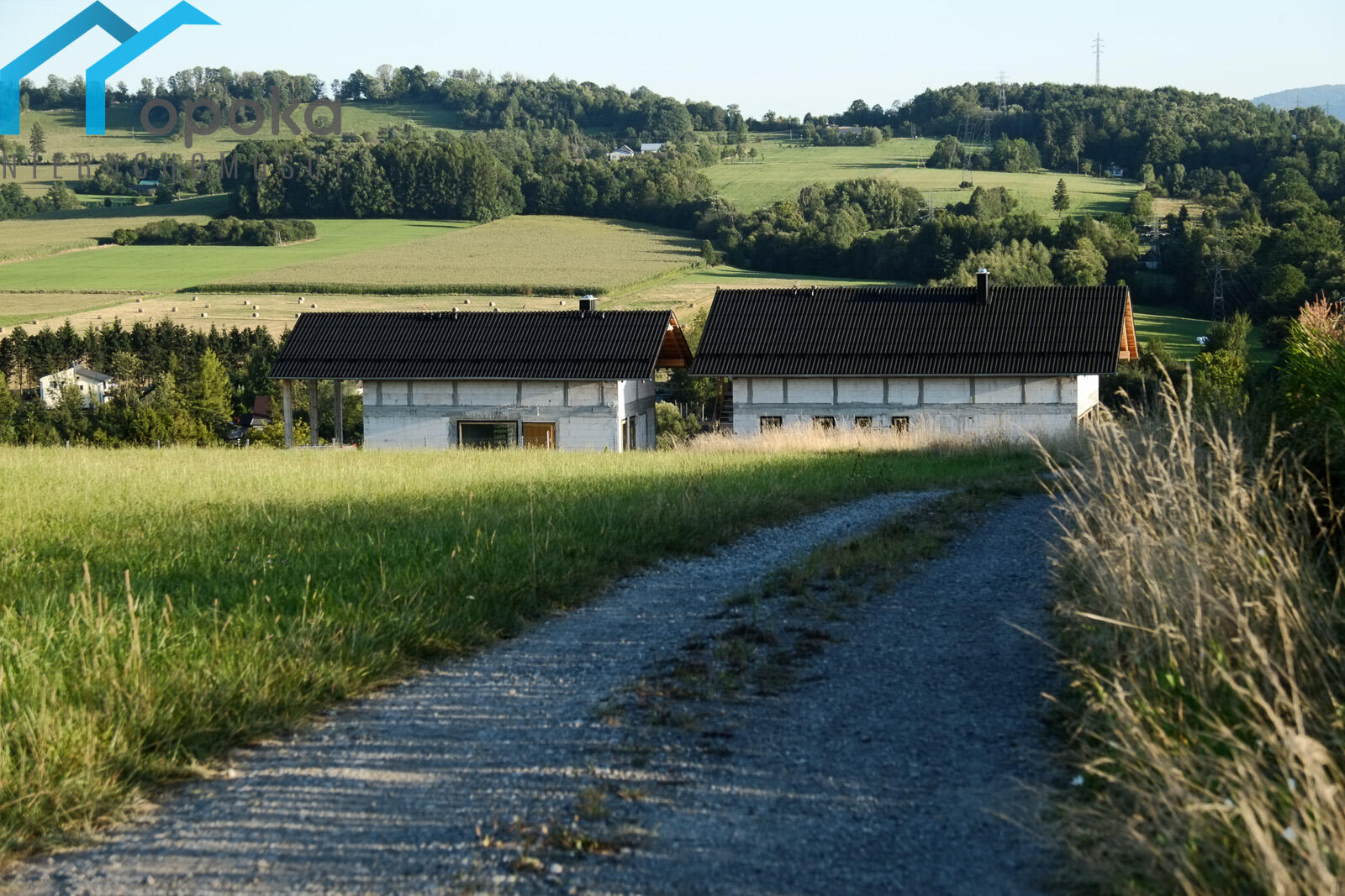 Zdjęcie 5