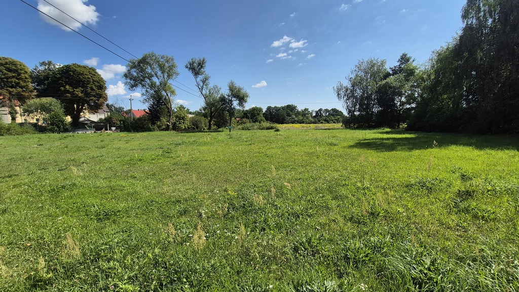 Zdjęcie 11