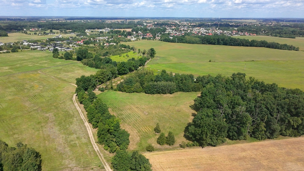 Zdjęcie 6