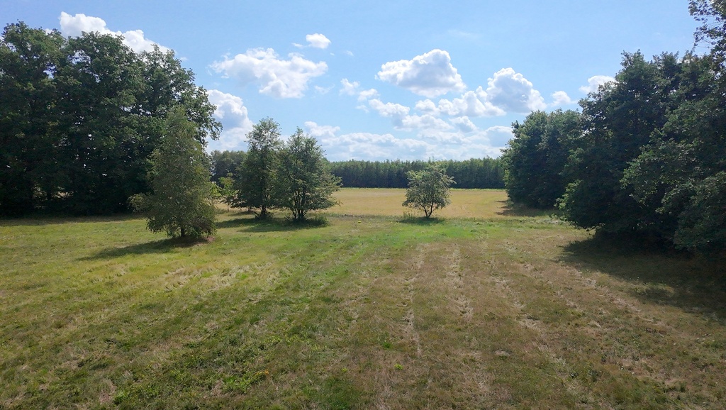 Zdjęcie 19