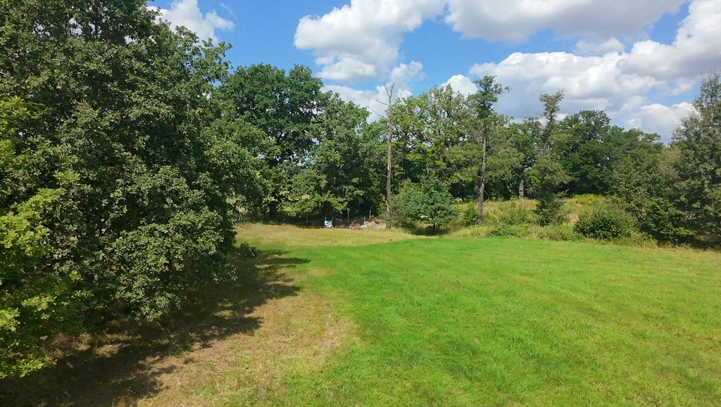 Zdjęcie 20