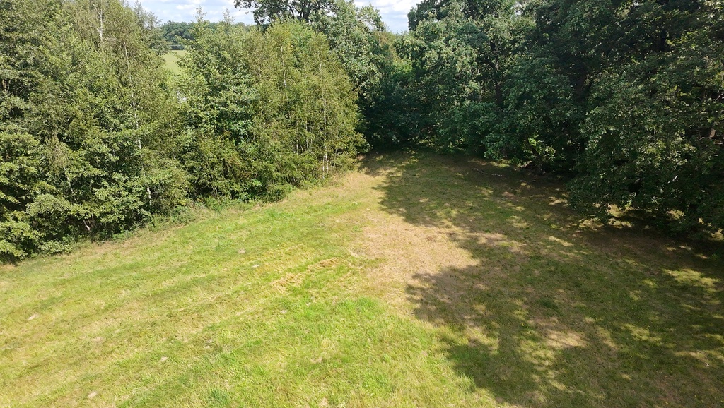 Zdjęcie 12