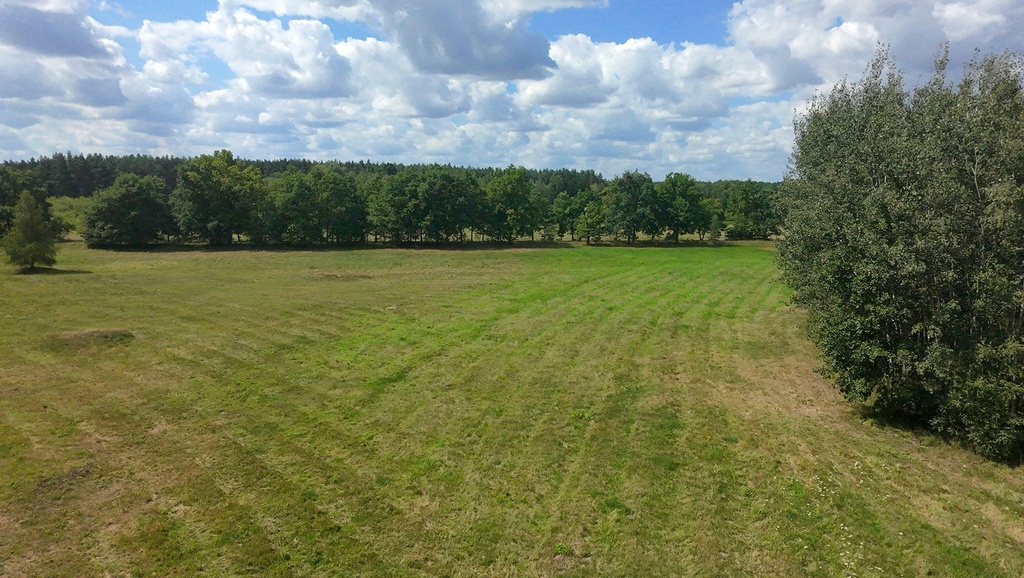 Zdjęcie 14