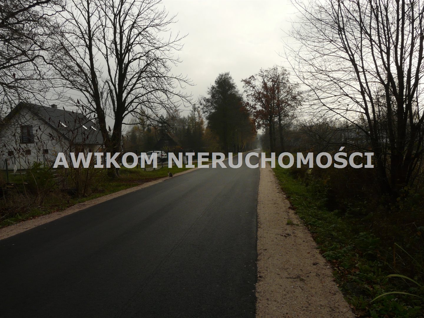 Zdjęcie 15
