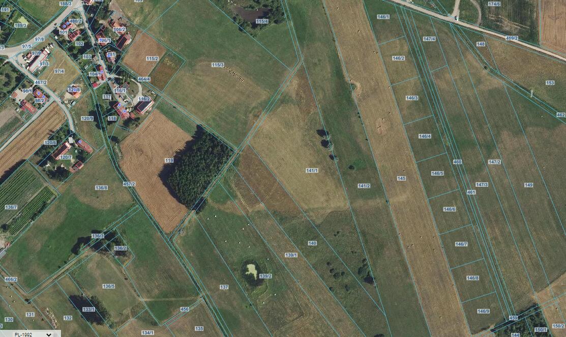 Zdjęcie 2