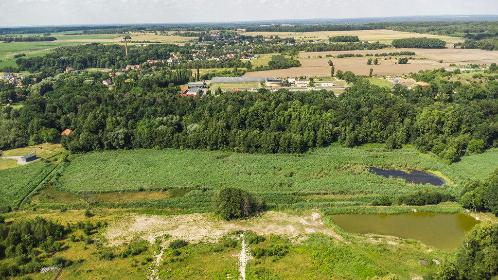 Zdjęcie 10