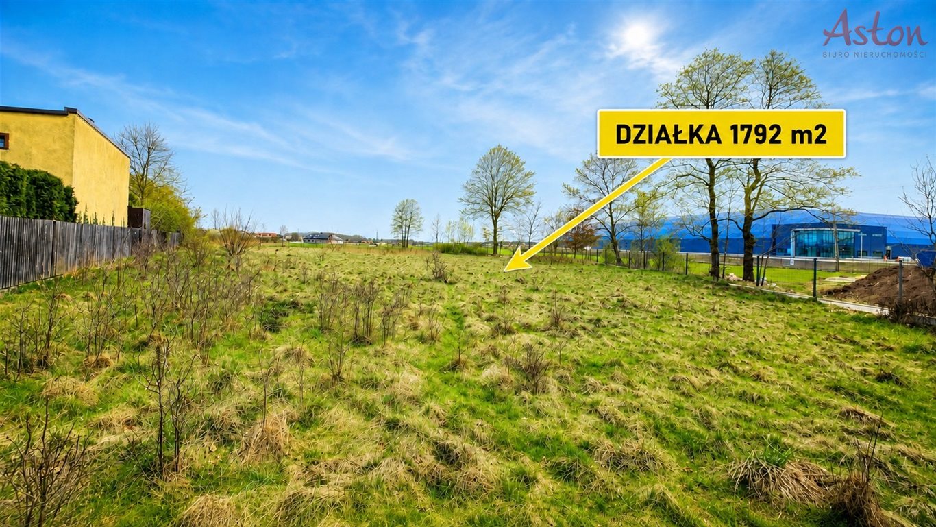 Zdjęcie 5