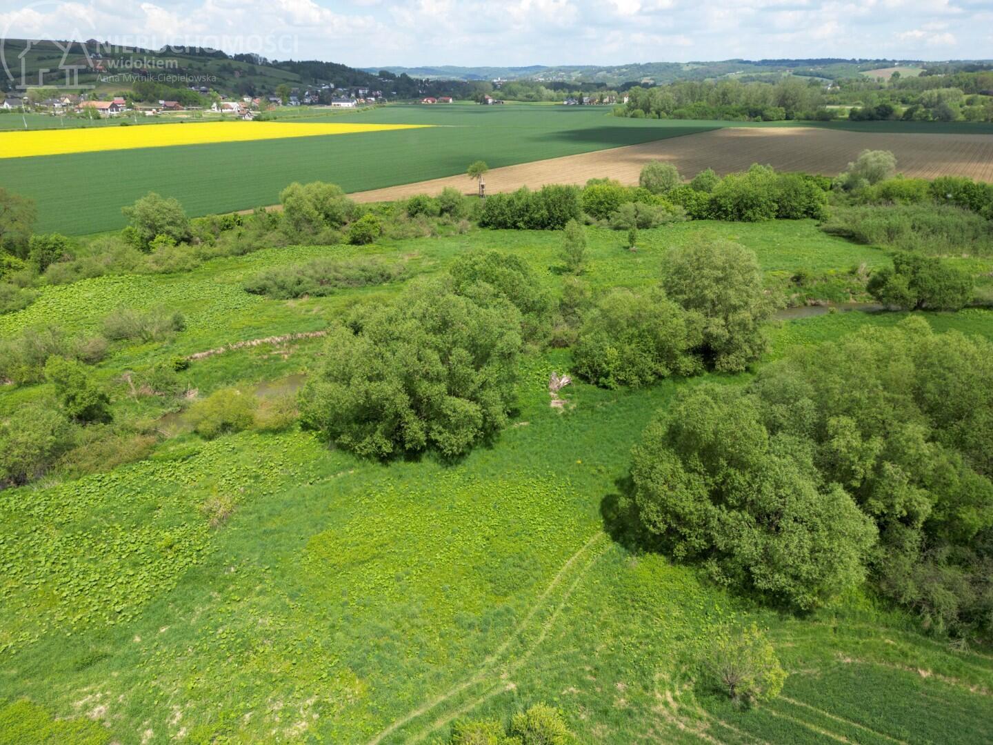 Zdjęcie 13