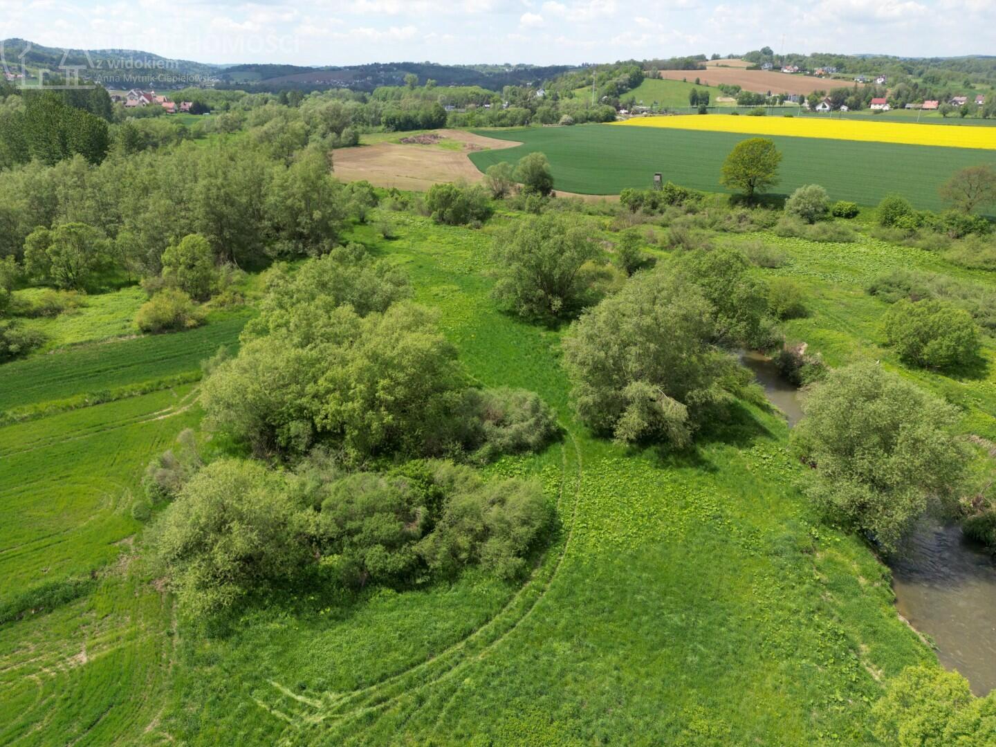 Zdjęcie 14