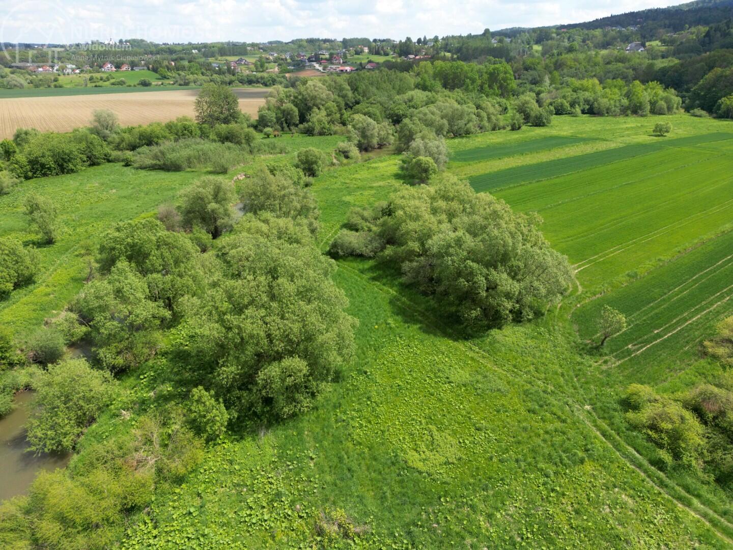 Zdjęcie 15