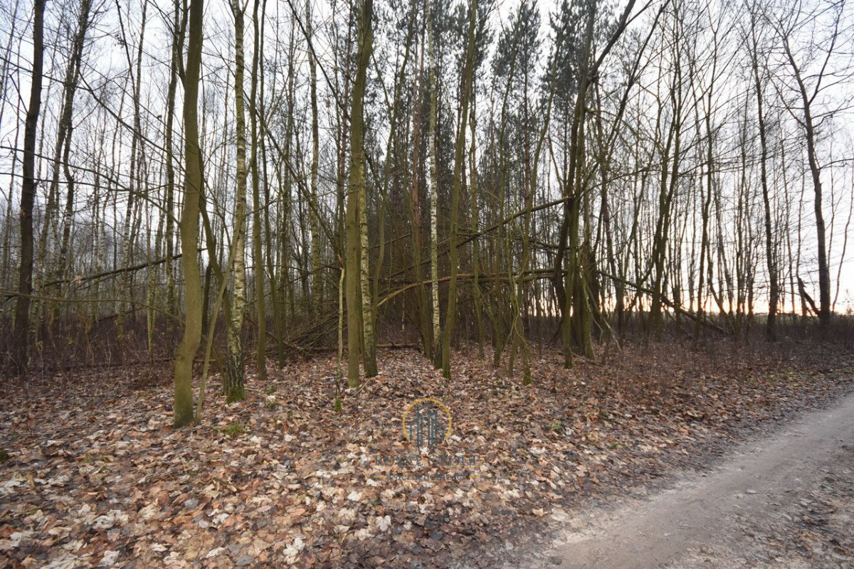 Zdjęcie 3