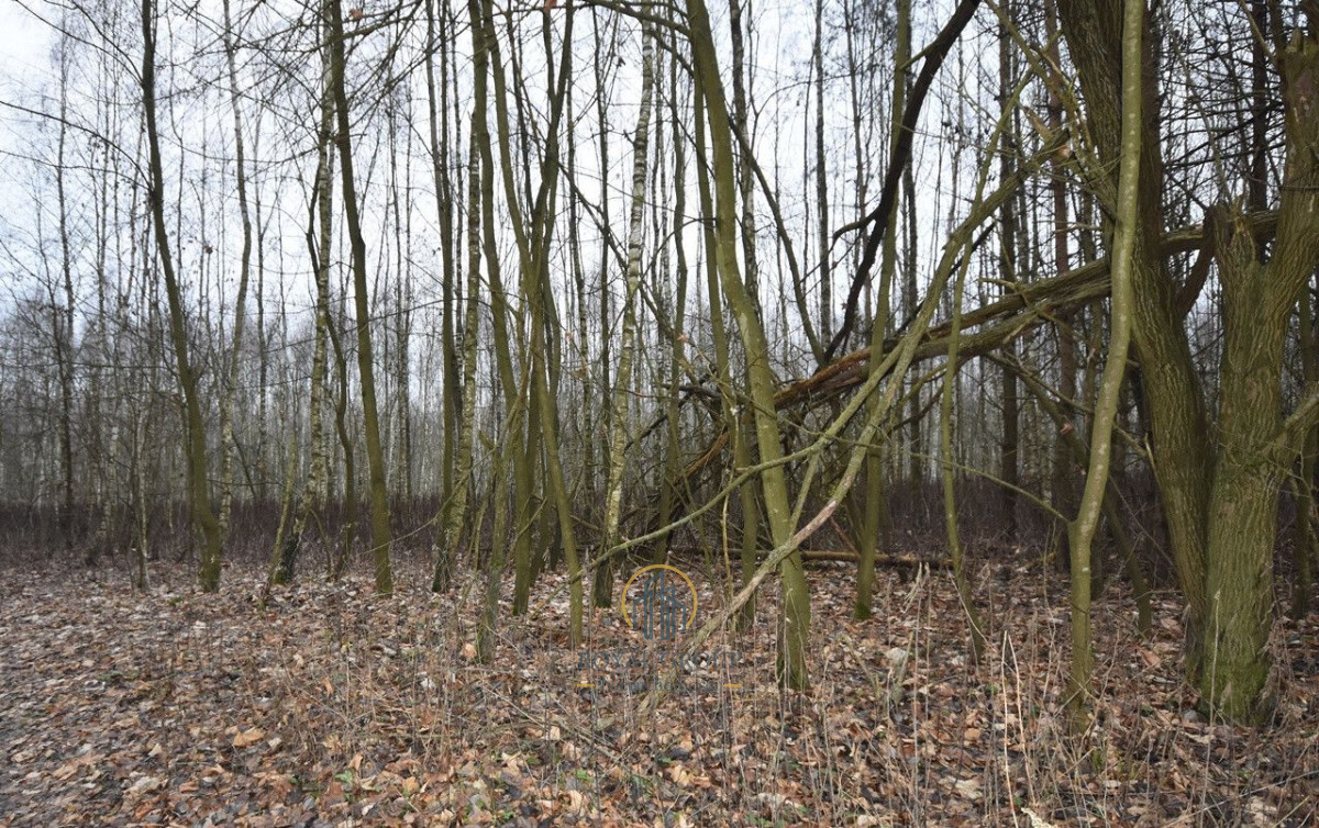 Zdjęcie 5