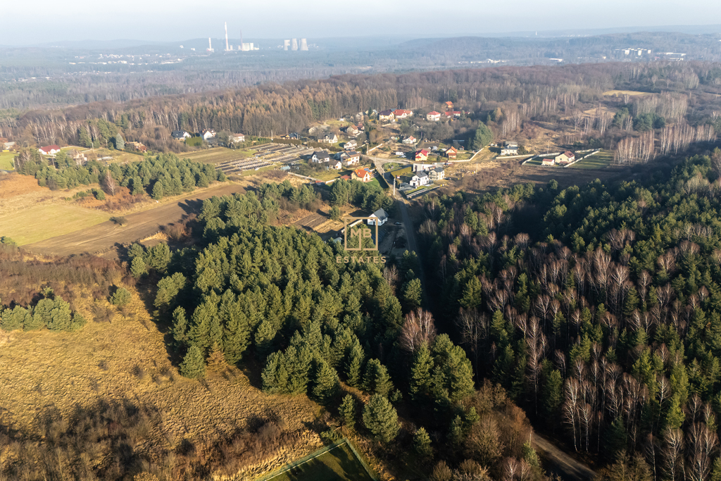 Zdjęcie 11