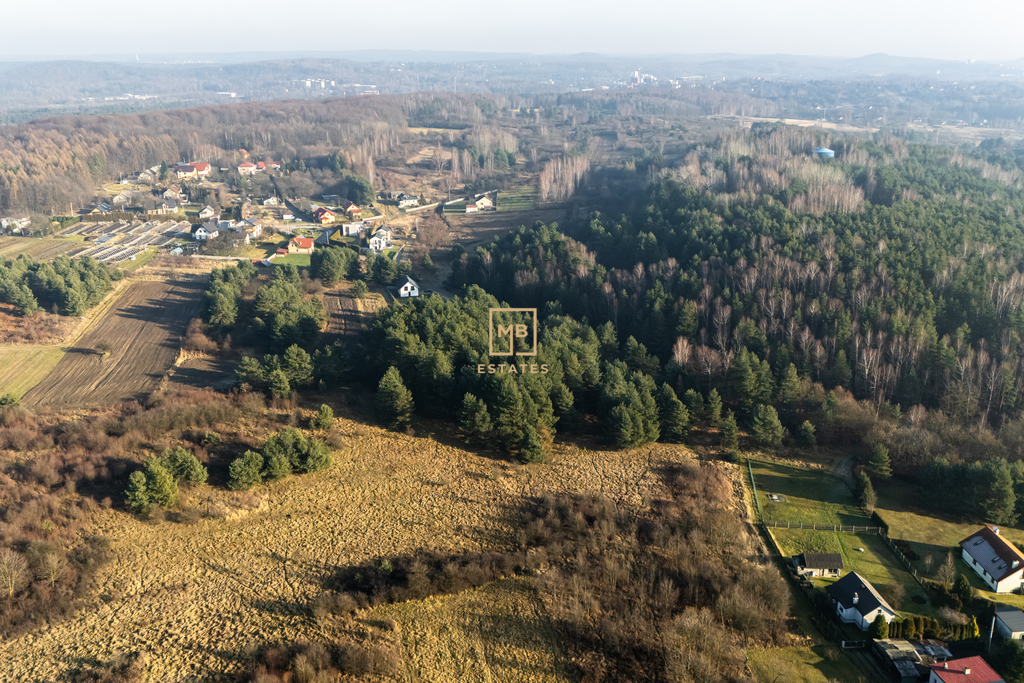 Zdjęcie 13