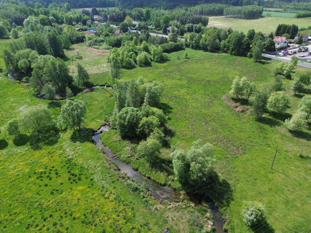 Zdjęcie 14