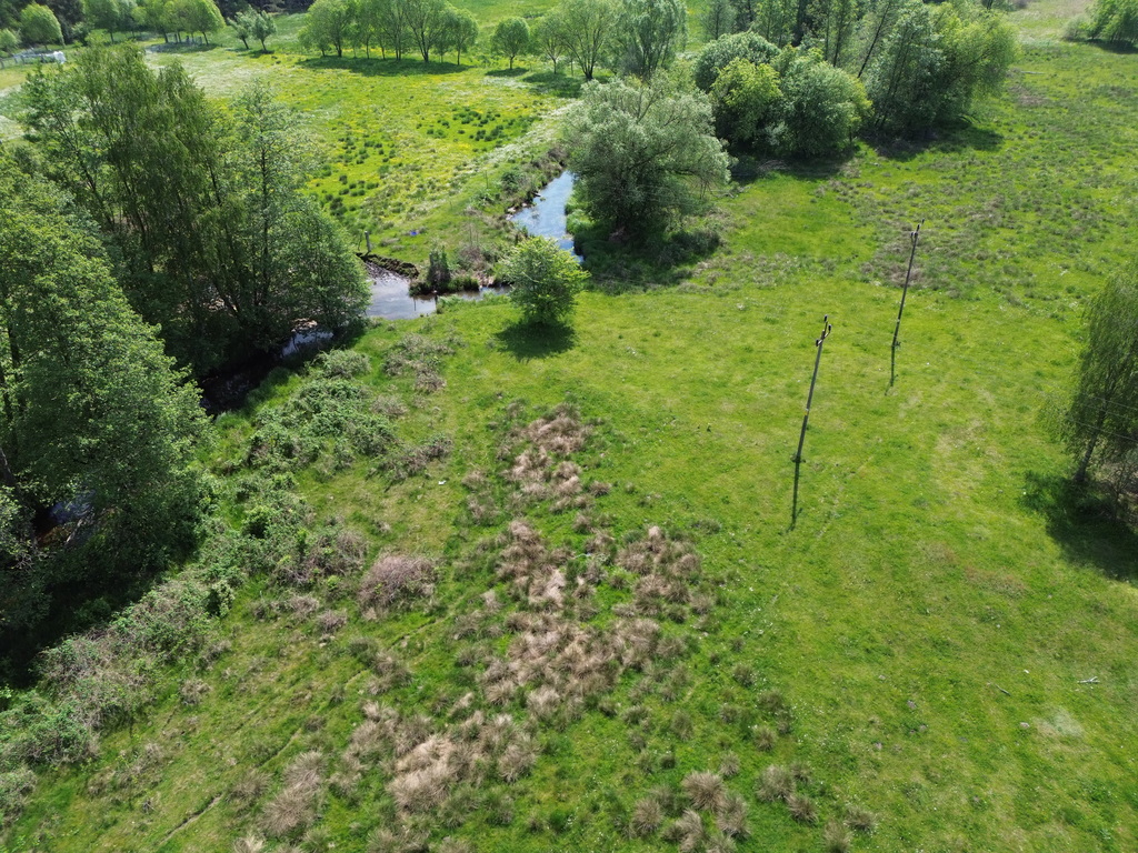 Zdjęcie 18