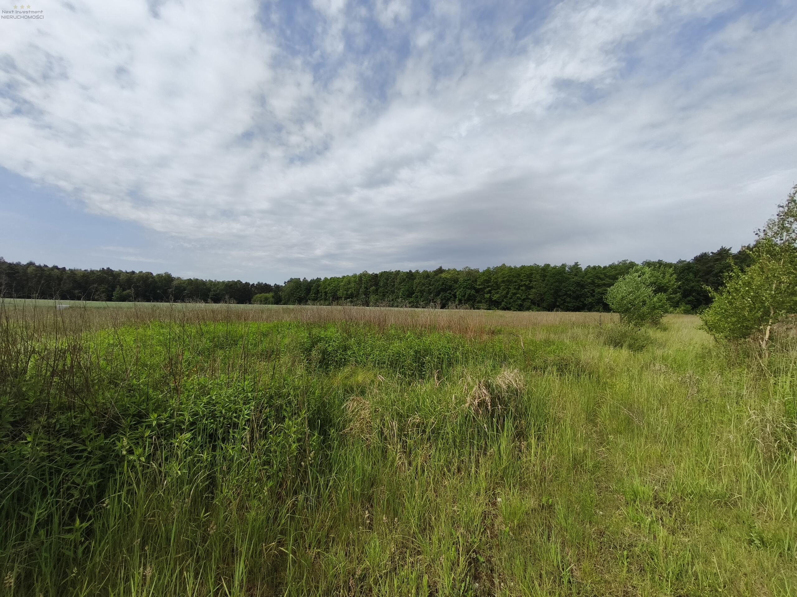 DZIAŁKA BUDOWLANA 1059 m² | NIEBOROWICE | BLISKO GLIWIC | CICHA I ZIELONA OKOLICA