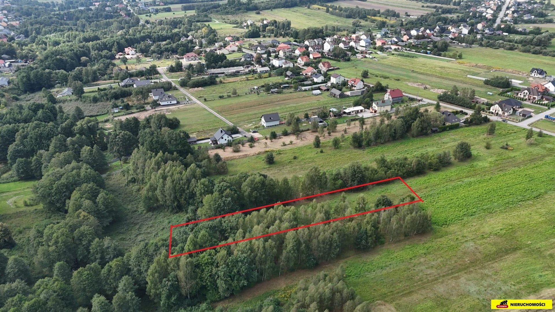 Zdjęcie 4