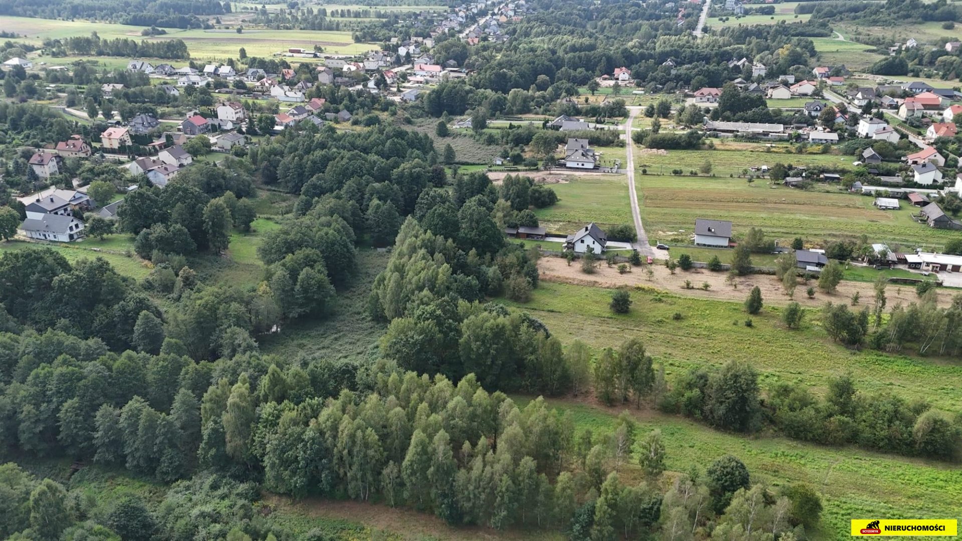 Zdjęcie 6