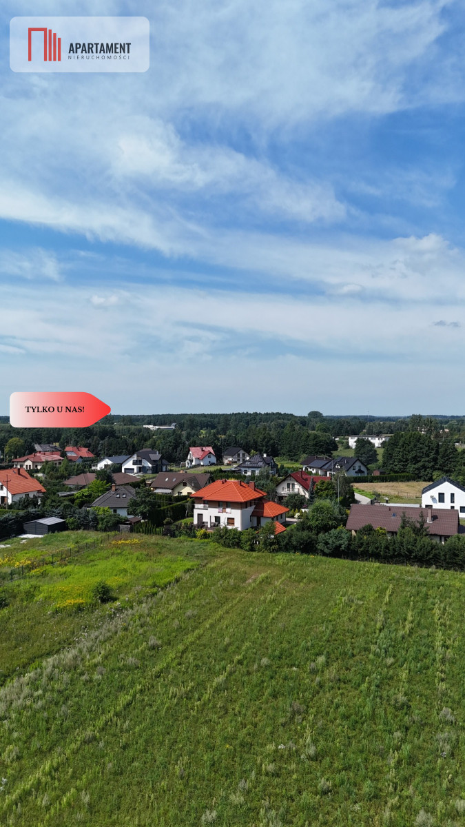 Zdjęcie 13