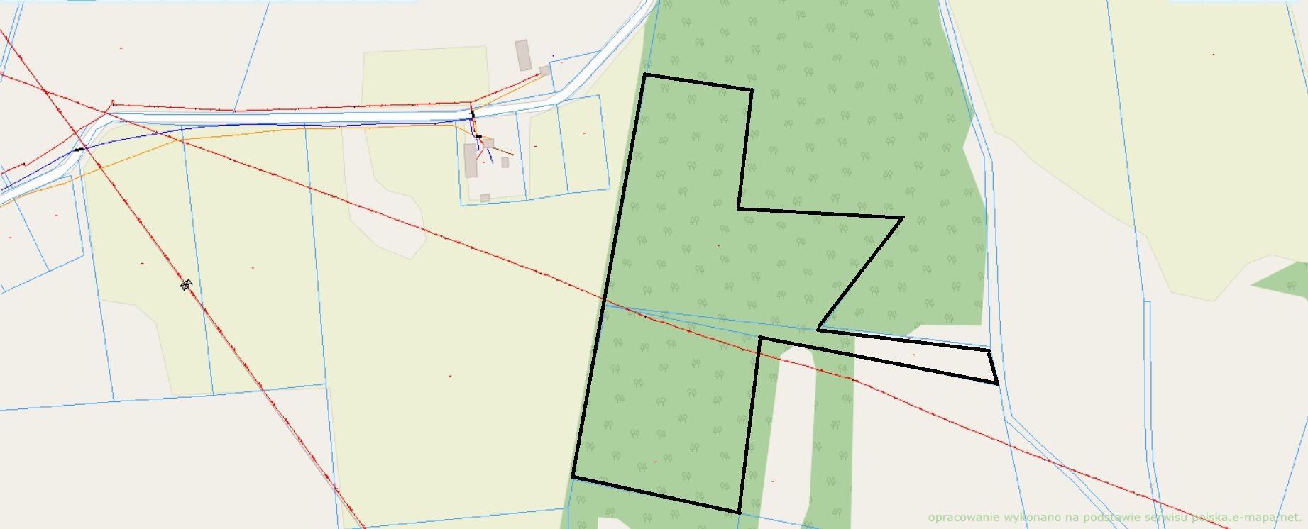 Zdjęcie 10