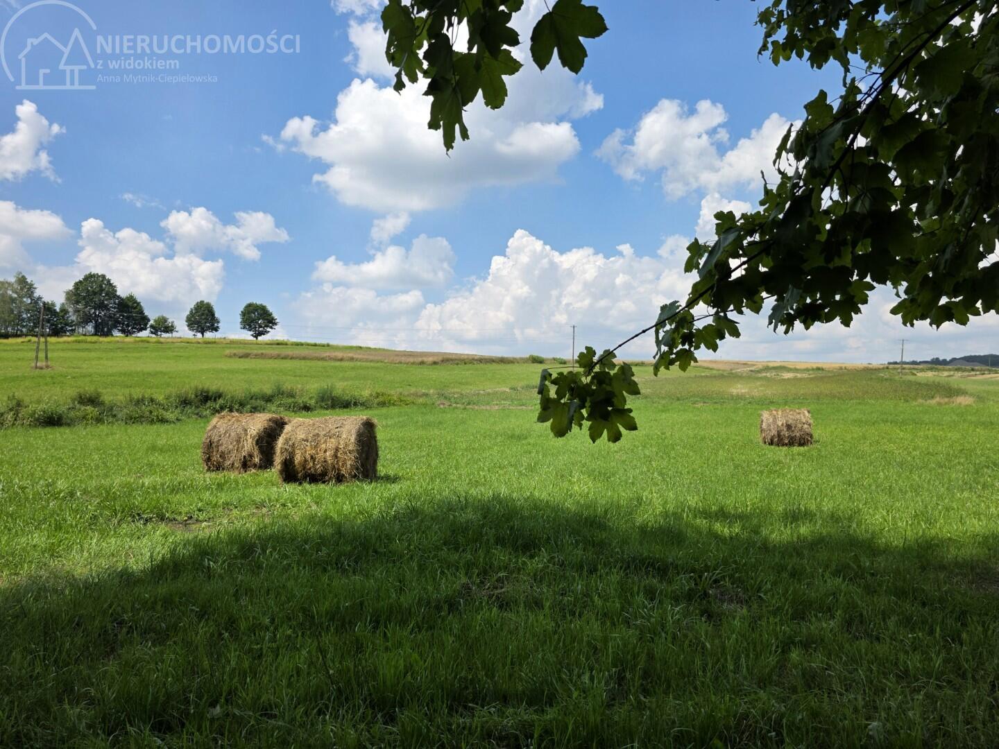UROKLIWA DZIALKA 1,10 HA W JODŁOWEJ - OTOCZONA NATURĄ, Z POTENCJAŁEM I SPOKOJEM!!!