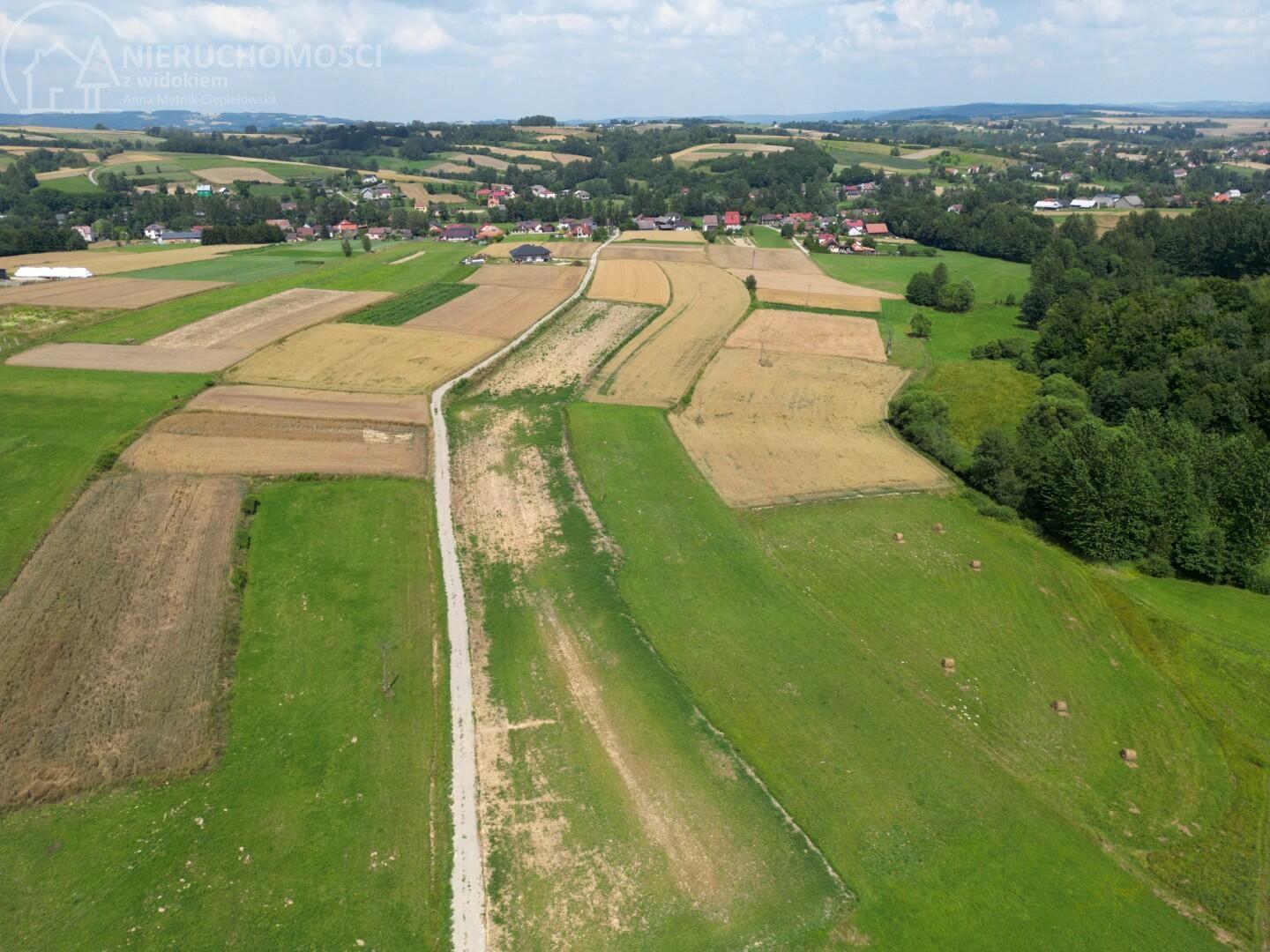 Zdjęcie 10