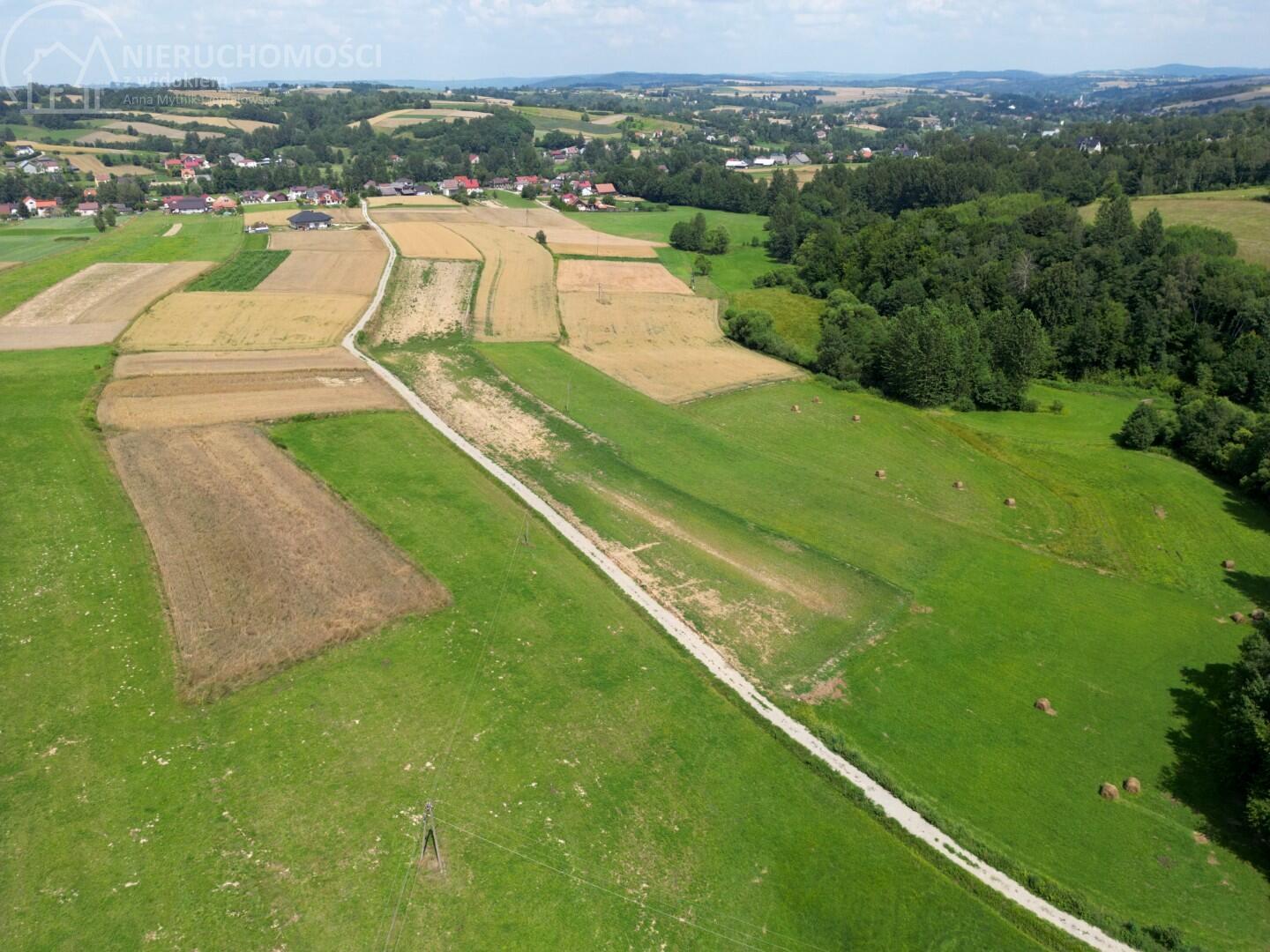 Zdjęcie 12