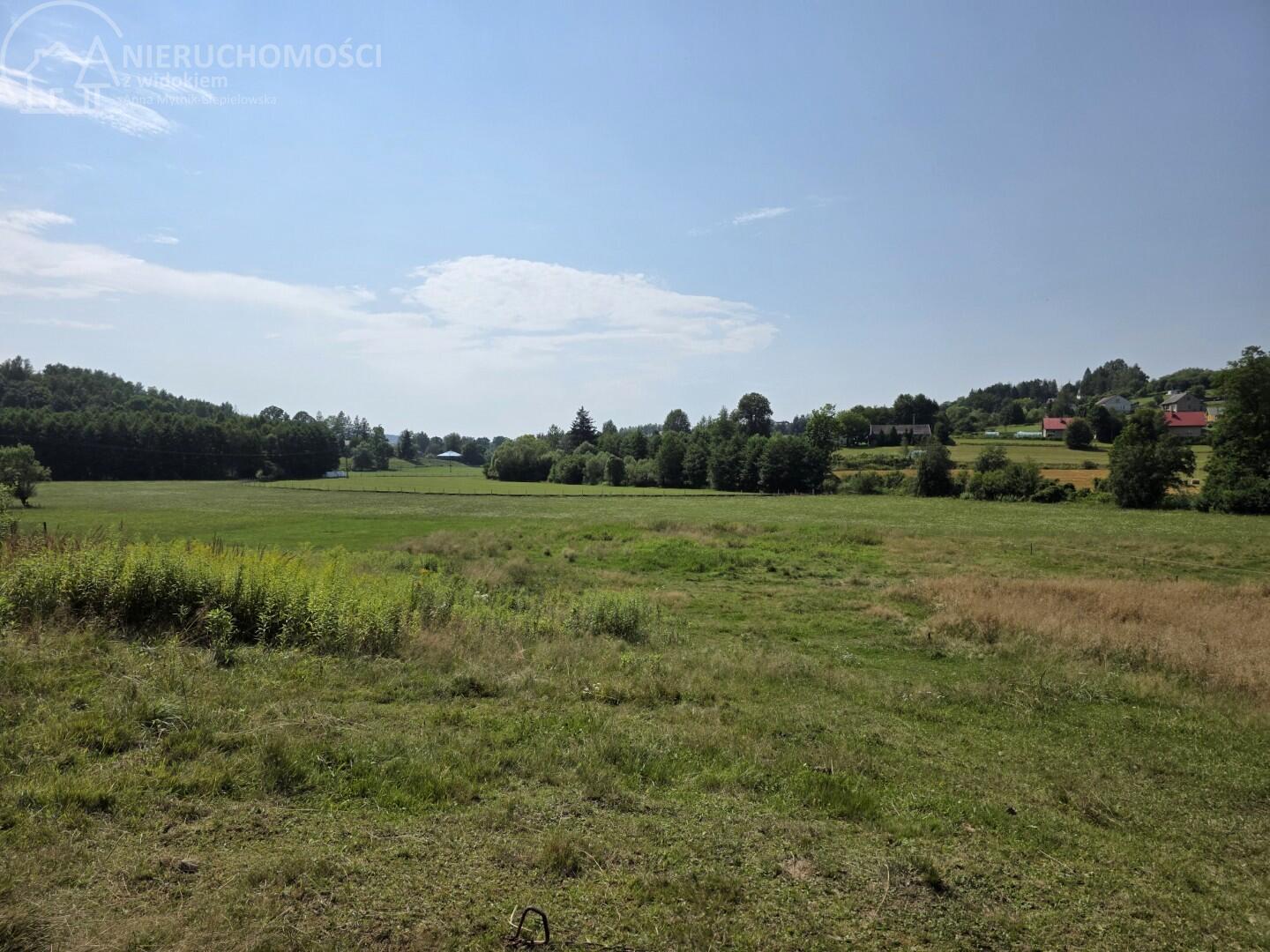 Zdjęcie 14