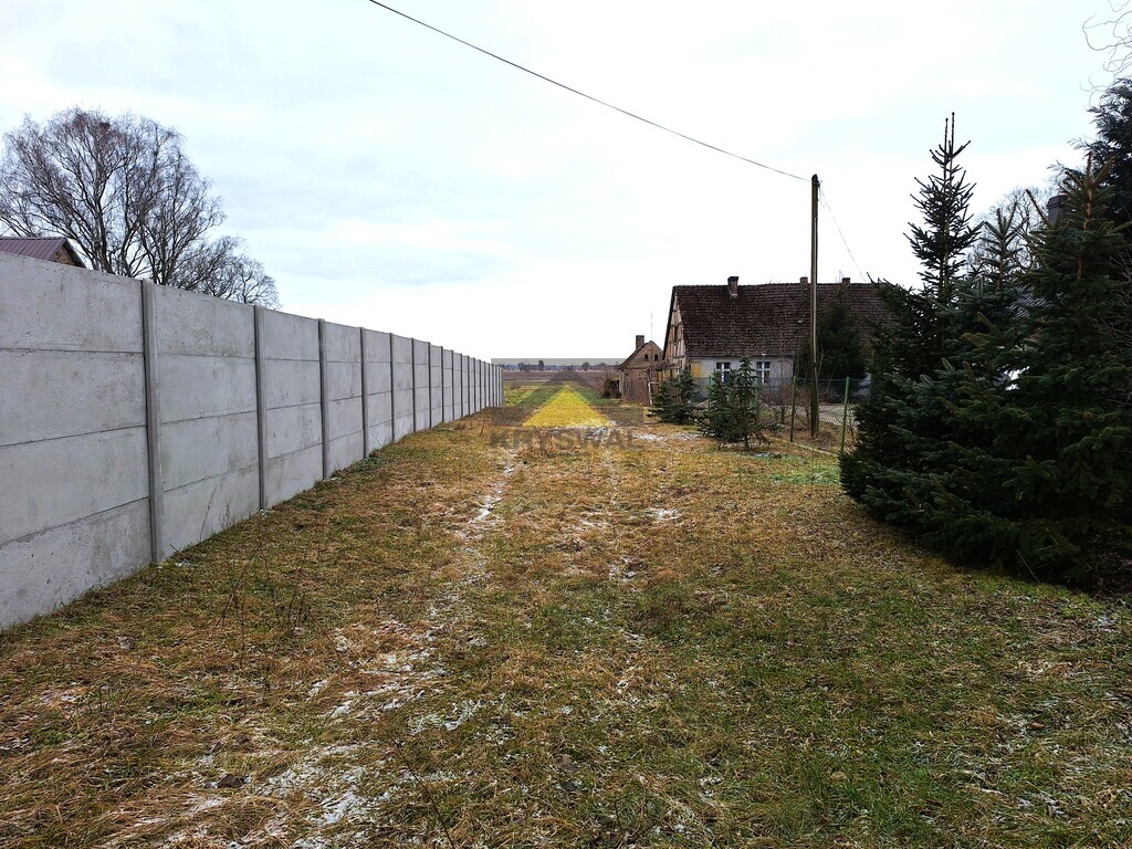 Zdjęcie 4