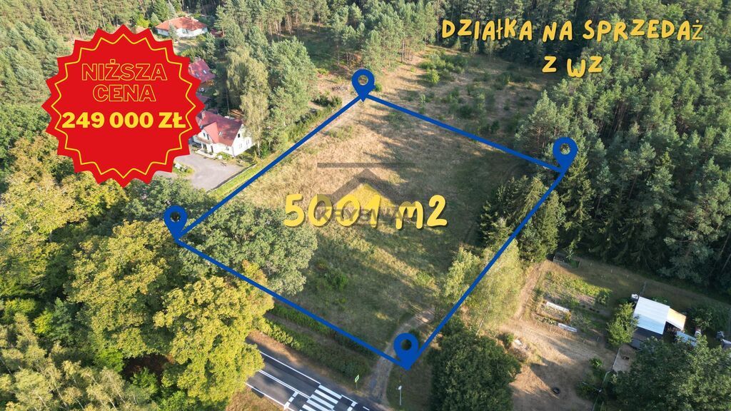 Działka w Wełminie 5001m2