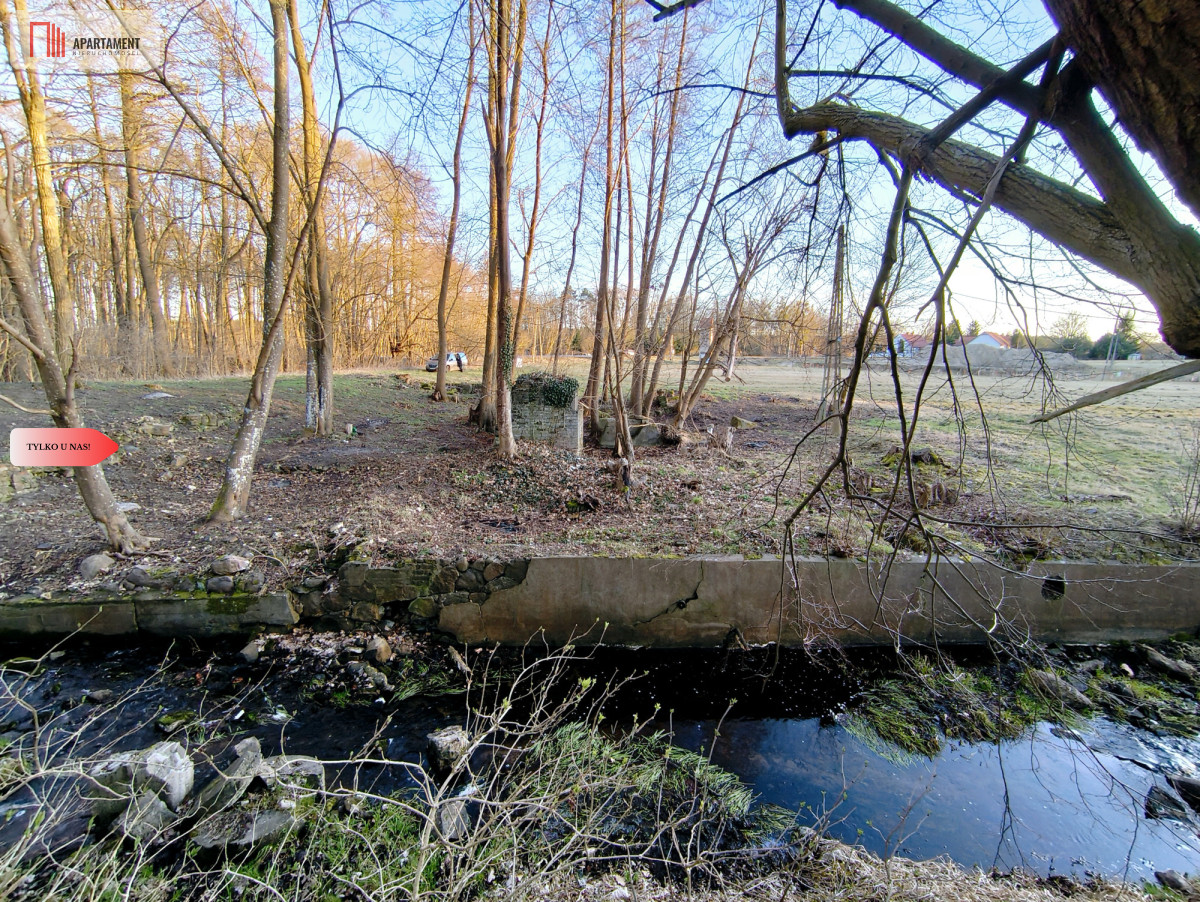 Zdjęcie 4