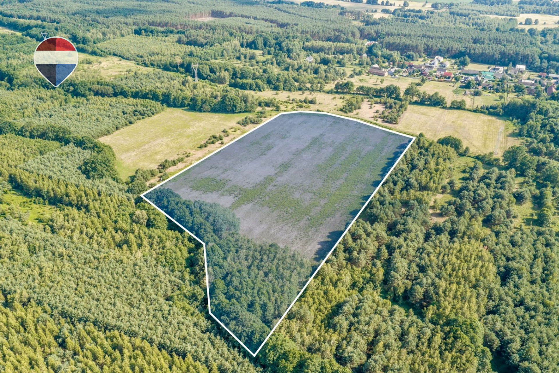 Zdjęcie 6