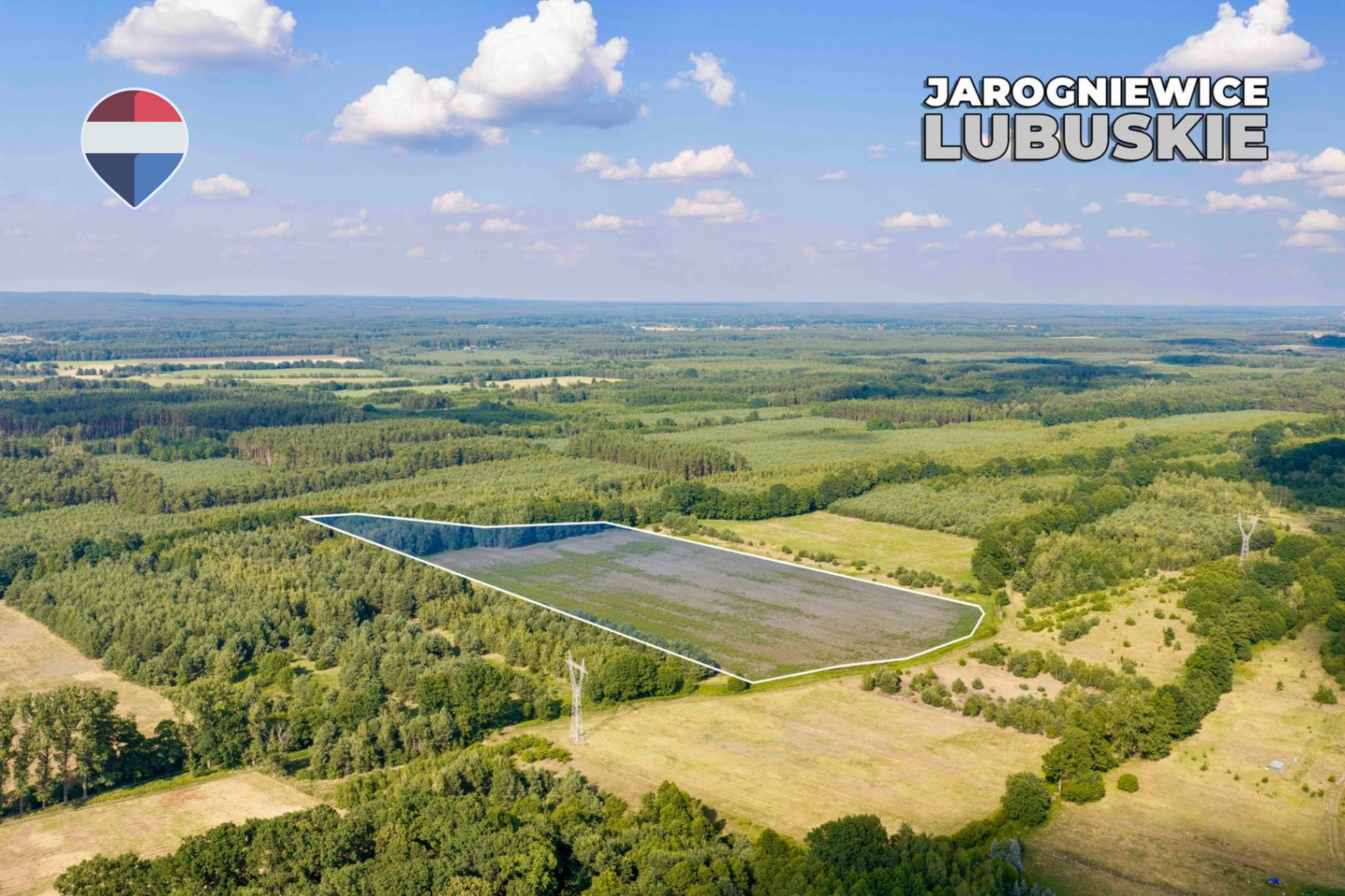Zdjęcie 12